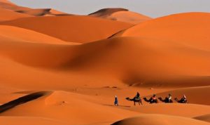 ﻿المغرب يحارب التصحر بمشروع للتشجير والتنمية والحد من الفقر