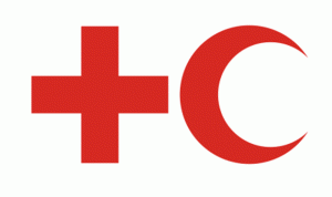 الإتحاد الدولي للصليب الأحمر يشجب إستهداف قافلة المساعدات في سوريا