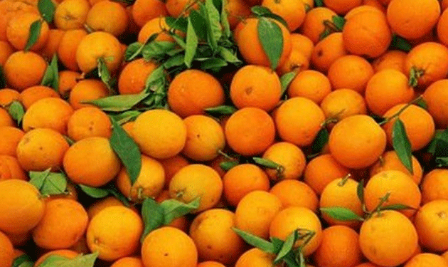 lemon--orange