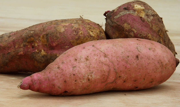 potato-sweet