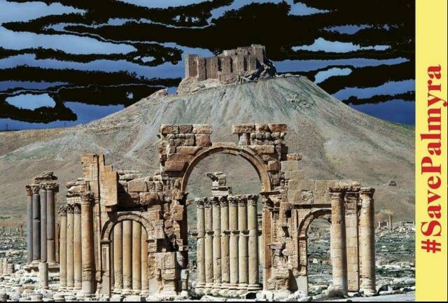 save palmyra