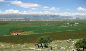 Bekaa