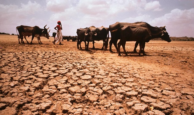India-Drought