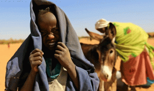 الأمم المتحدة: أكثر من 87 ألف شخص  نزحوا من ديارهم في دارفور هذا العام