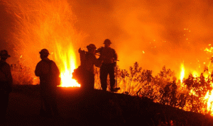 حرائق الغابات في أميركا تهدد بلدة جبلية في كاليفورنيا