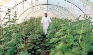 خلف الحبتورعن القطاع الزراعي الناجح في الإمارات