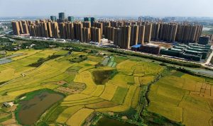 الصين .. صراع الريف والمدينة