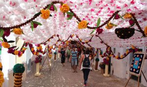 بالصور.. مهرجان الورود السنوي في البرتغال
