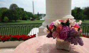 بالصور.. كبيرة منسقي الأزهار في البيت الأبيض “إيرانية”