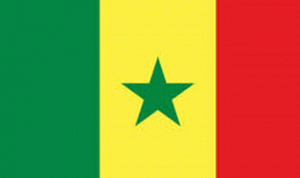 قنصل السنغال: الجالية في لبنان شاركت في الاستفتاء الشعبي لتخفيض ولاية رئيس الجمهورية