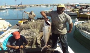 المطران أبرص تفقد أوضاع صيادي الأسماك في صور