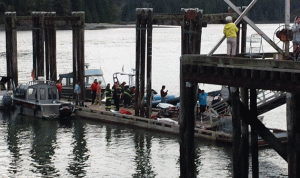 4 قتلى في غرق مركب لمراقبة الحيتان في كندا