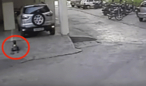 بالفيديو.. سيارة تدهس طفلاً في الثالثة