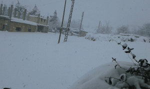 بلدية بقرصونا تخلي منازل تصدعت بسبب الثلوج والأمطار