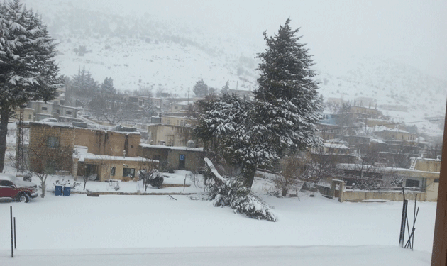 vladimir-storm-baalbeck