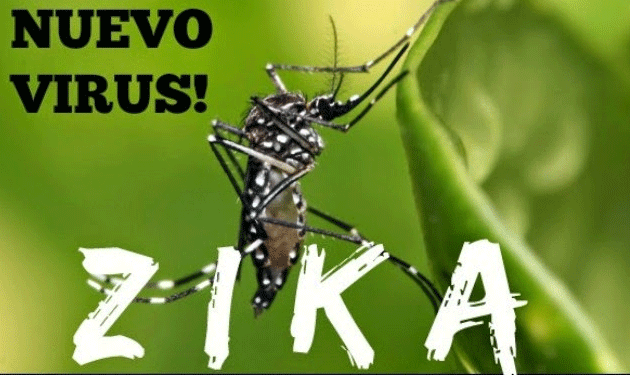 zika-virus