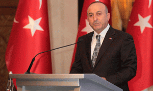 تركيا: قرار مجلس الشيوخ الفرنسي بشأن قره باغ مثير للسخرية