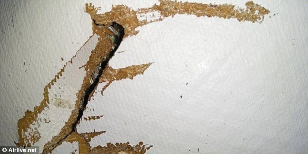 31CA00B600000578-3473916-image-a-2_1456965144670