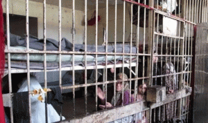 معتقلون أطفال ونساء في أقبية الأسد!