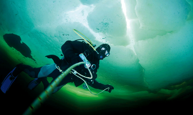 diving-under-ice