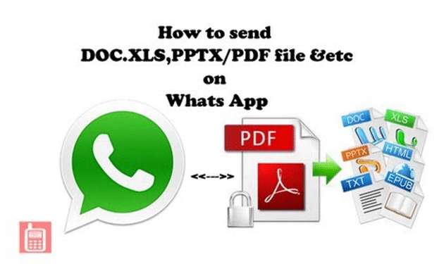 whatsapp-pdf