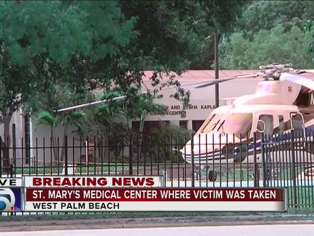 Female_employee_of_Palm_Beach_Zoo_injure_0_36293580_ver1.0_640_480