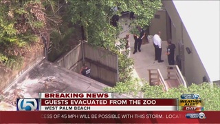 Guests_evacuated_from_Palm_Beach_Zoo_aft_0_36307817_ver1.0_320_240