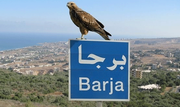 barja