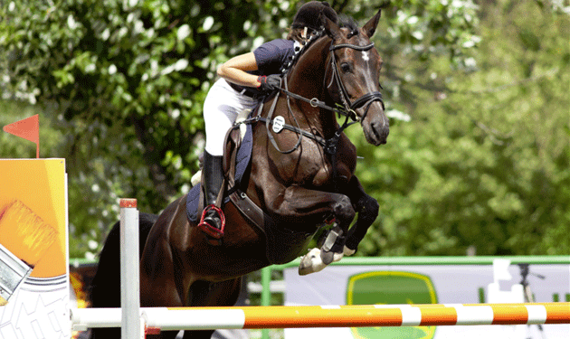 equitation