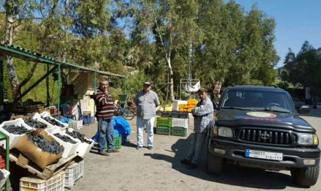 zgharta
