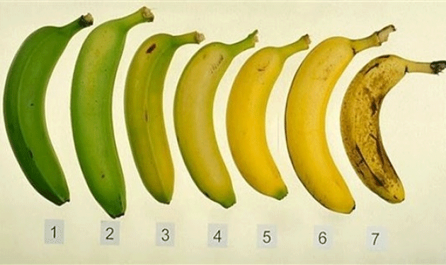 bananas