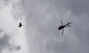 بالصور والفيديو… طائرة تنقل بقرة مصابة إلى المستشفى!