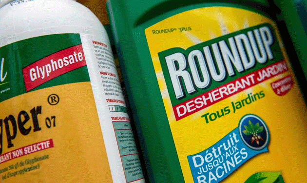 glyphosate