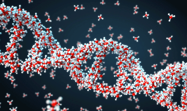 microsoft-DNA