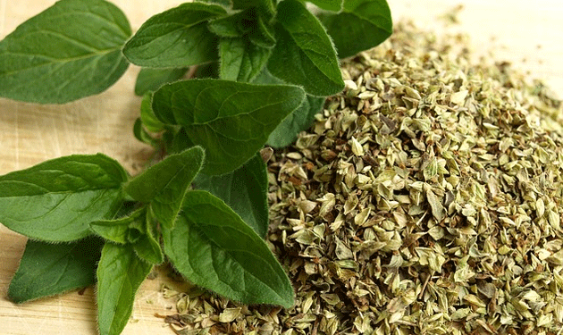 oregano