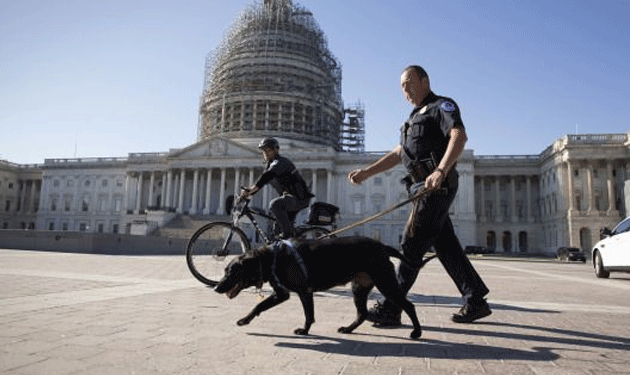 police-with-dog