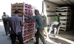 الهيئات الزراعية حملت شهيب تداعيات قرار وقف الاستيراد من سوريا