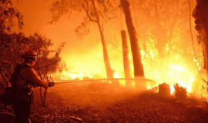 موجة حر قياسية تلهب الحرائق في الغرب الأميركي