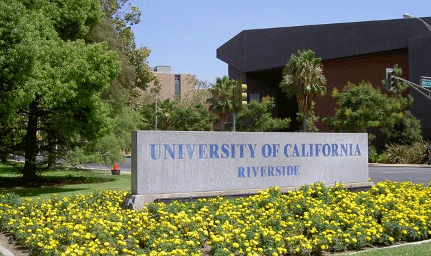 california-university