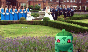 لمطاردة البوكيمون تركها في يوم زفافها!