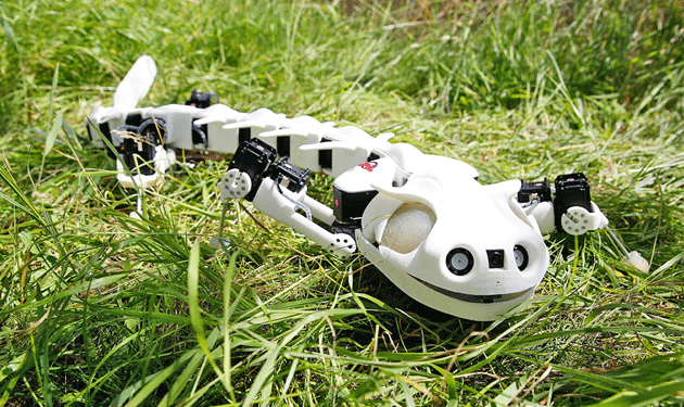 Robot-salamander