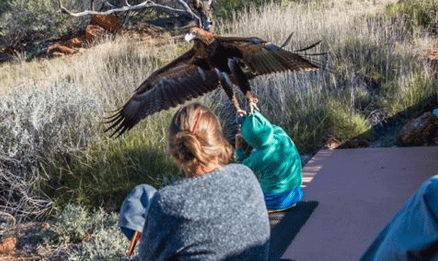 eagle-&--boy