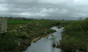 محافظ عكار يشرف على تنظيف مجرى النهر الكبير