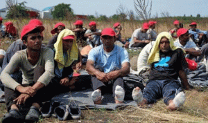 مهاجرون على الحدود بين صربيا والمجر يضربون عن الطعام