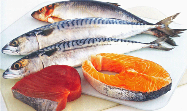 salmon-and-tuna