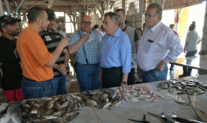 السنيورة من صيدا: بالتضامن نحول المشكلة إلى فرصة