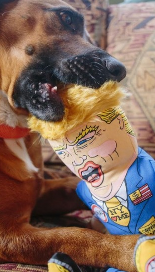 trump toy