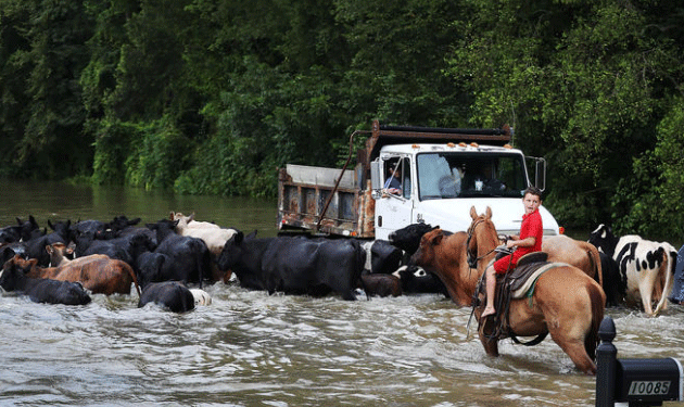 Louisiana