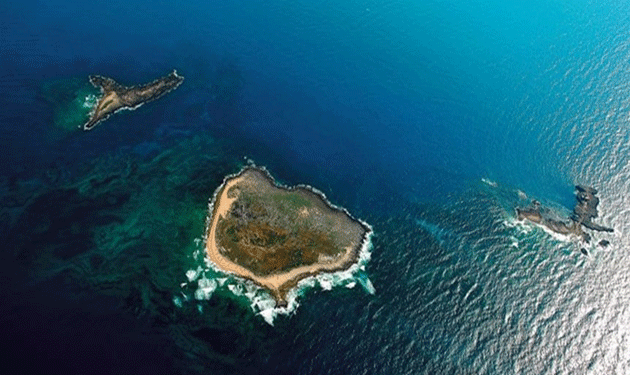 Palm-Islands