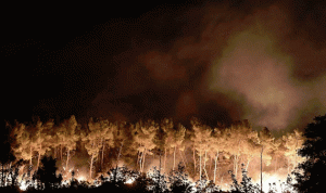 حرائق تجتاح غابات مرسيليا